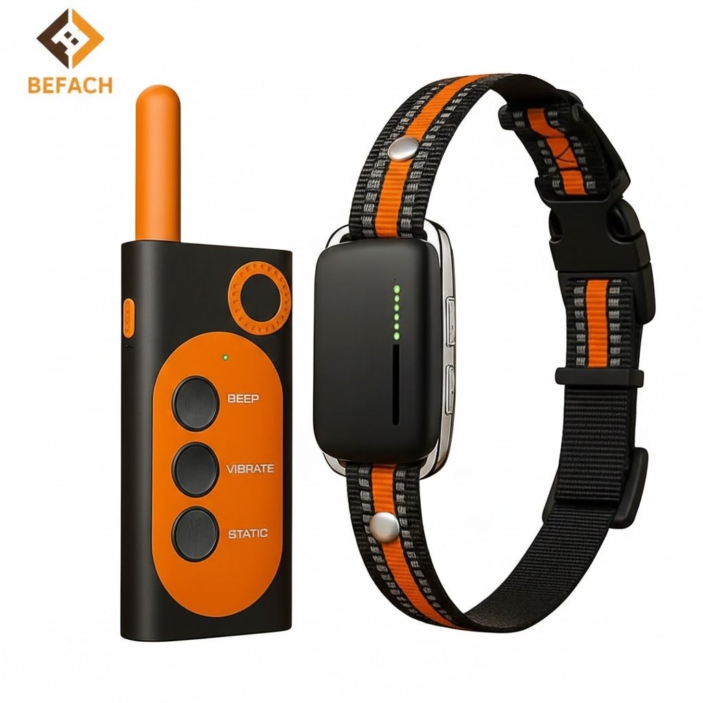 Befach Training collar